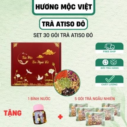 TRÀ ATISO ĐỎ