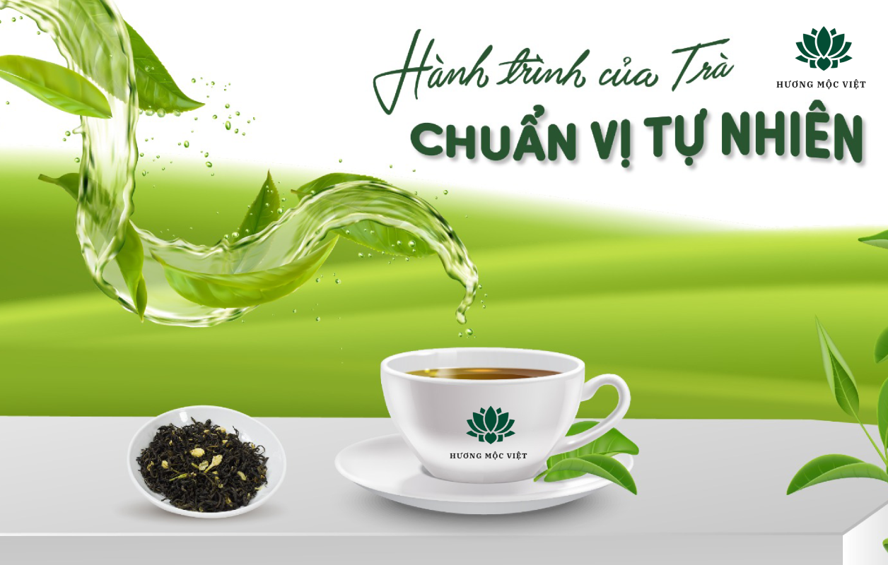 hành trình của trà