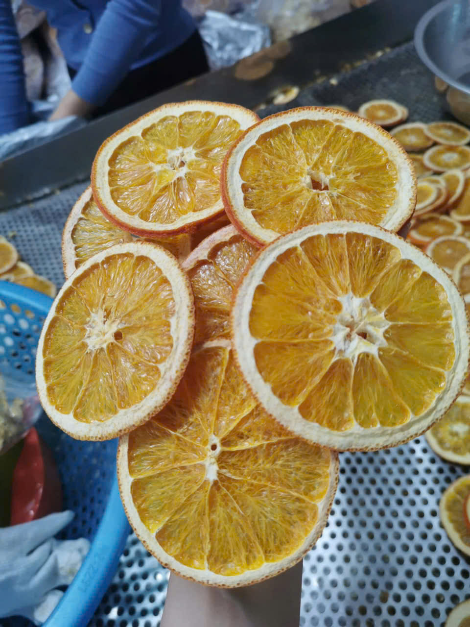 cam sấy lạnh