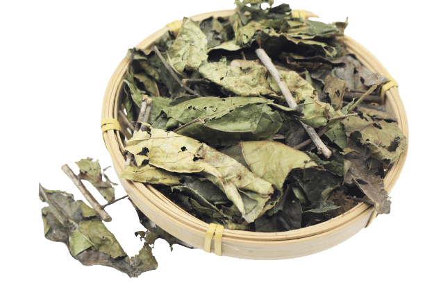 Lá xạ đen khô